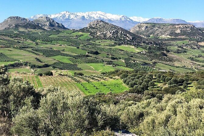 Crete: Olive Oil, Soap, Wine, Raki - Flavorful Culinary Journey - A Heraklion food-and-drink route that goes inland