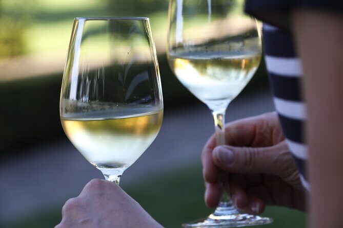 Minoan Path: Knossos Palace, Winery Visit, Lunch at Archanes - Peza winery visit: cellar, museum corner, and a tasting built for learning