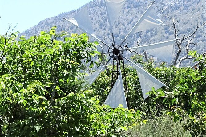 Private Tour-Knossos Palace Zeus Cave Olive Oil Mill & Wine - Gouves Olive Oil Factory: The Taste Test That Makes It Real