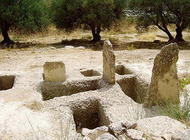 Semi Private Wine and Olive Oil tour (Transfer & Lunch Incl.) - Key things to know before you go
