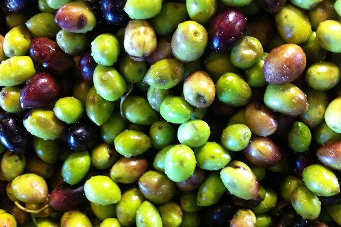 Semi Private Wine and Olive Oil tour (Transfer & Lunch Incl.) - Archanes lunch: four courses plus olive oils, honey, marmalades, wine, and raki